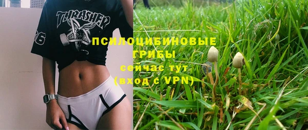 ALPHA PVP Алексеевка