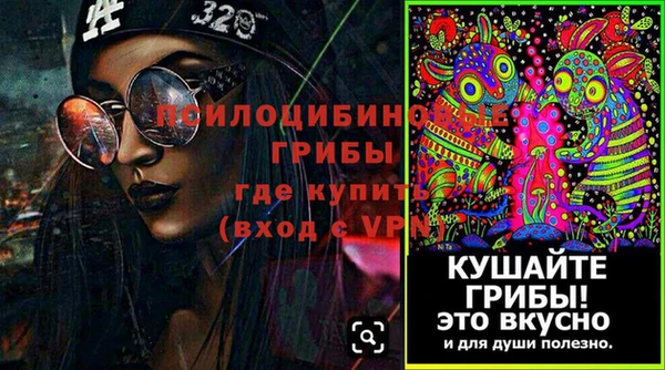 герыч Алексин