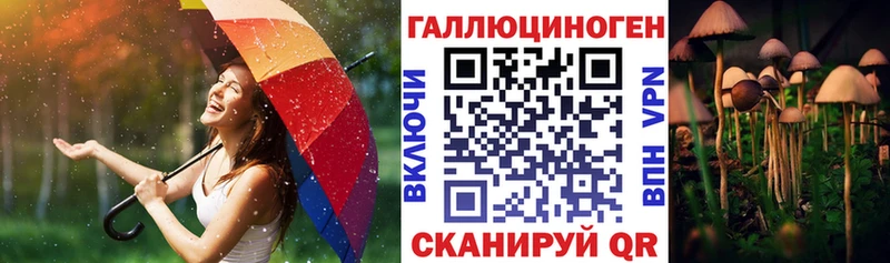закладка  MEGA как зайти  Псилоцибиновые грибы Cubensis  Кола 